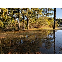 Oct Coastal Storm image